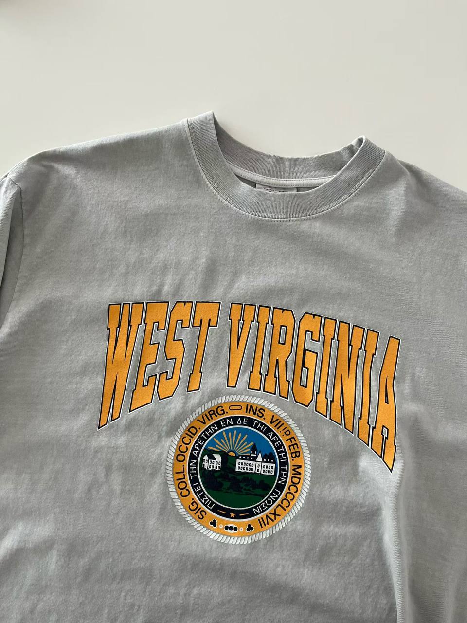 Футболка «West Virginia University» Oversized