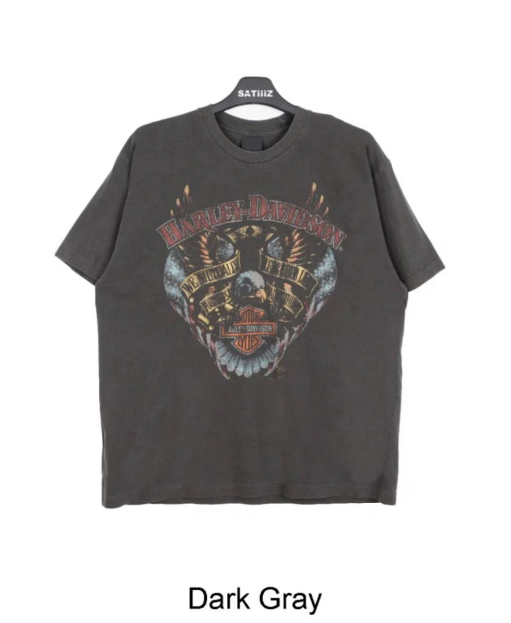 Harley-Davidson Eagle Wings Skull Vintage Washed Tee
